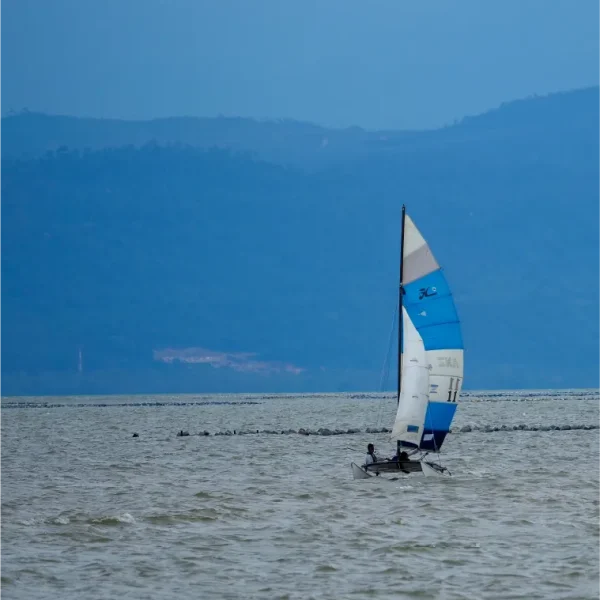 OCEANFRONT_D2-21